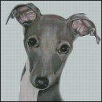 Eloise - Greyhound Dog (image for) Eloise - Greyhound Dog